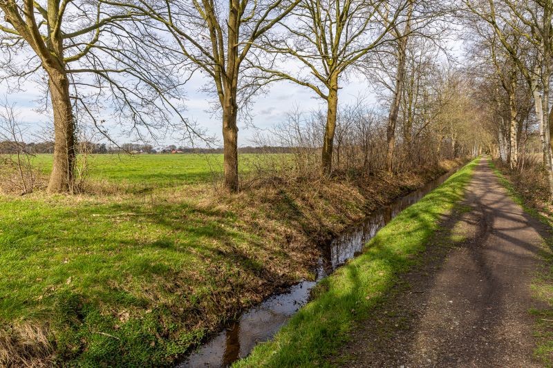 Lattropse Veen © Morsink Multimedia