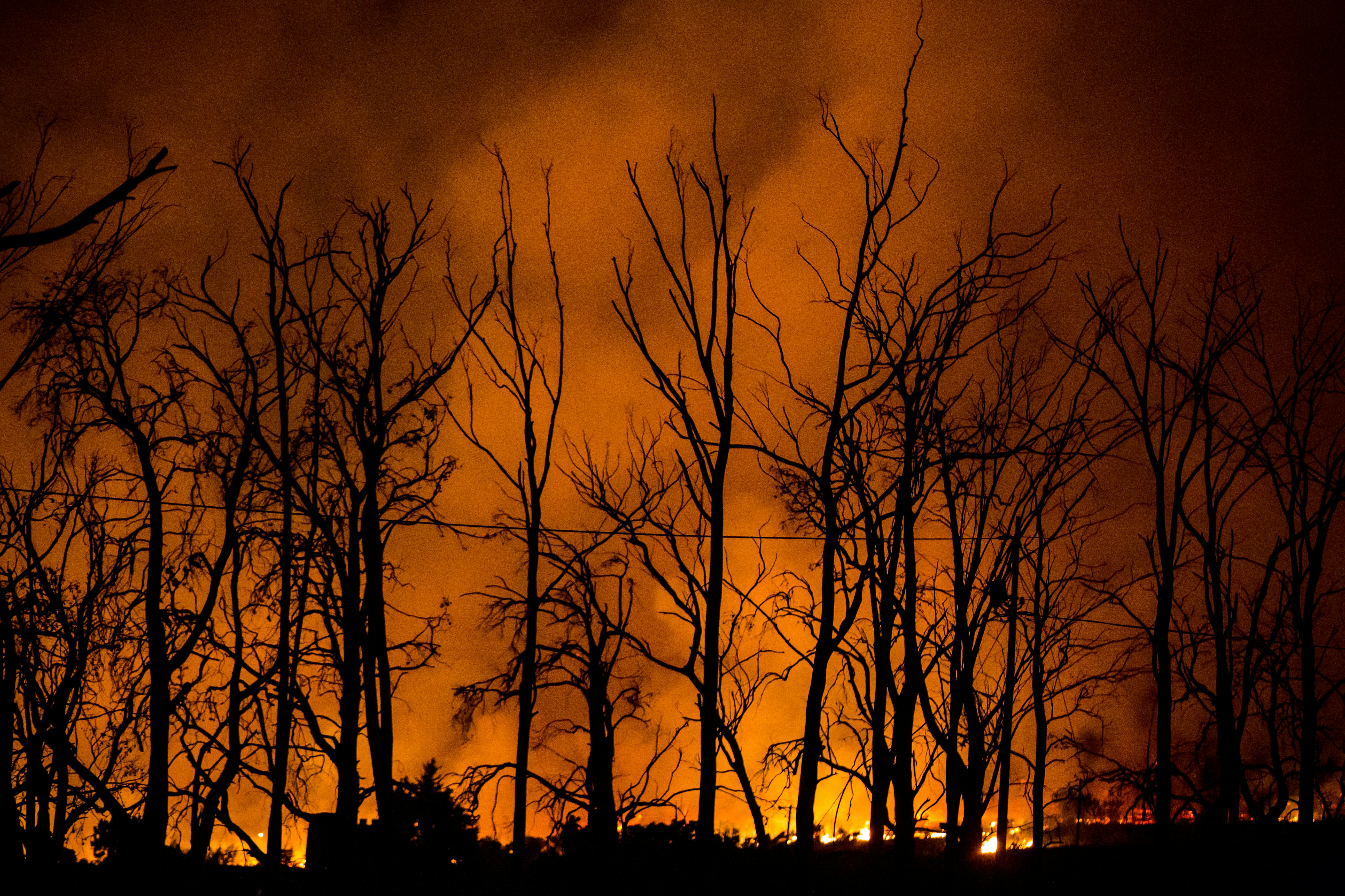 Dirk Erasmus Fo6yzk0jsxs Unsplash Bosbrand