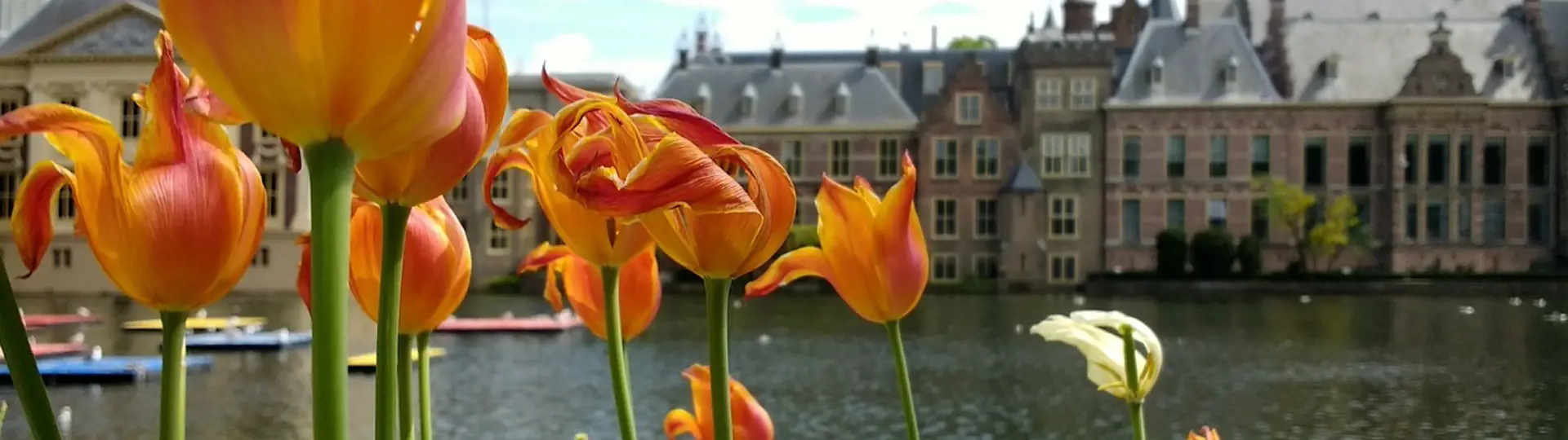 Binnenhof G590afe414 1280 Pixabay