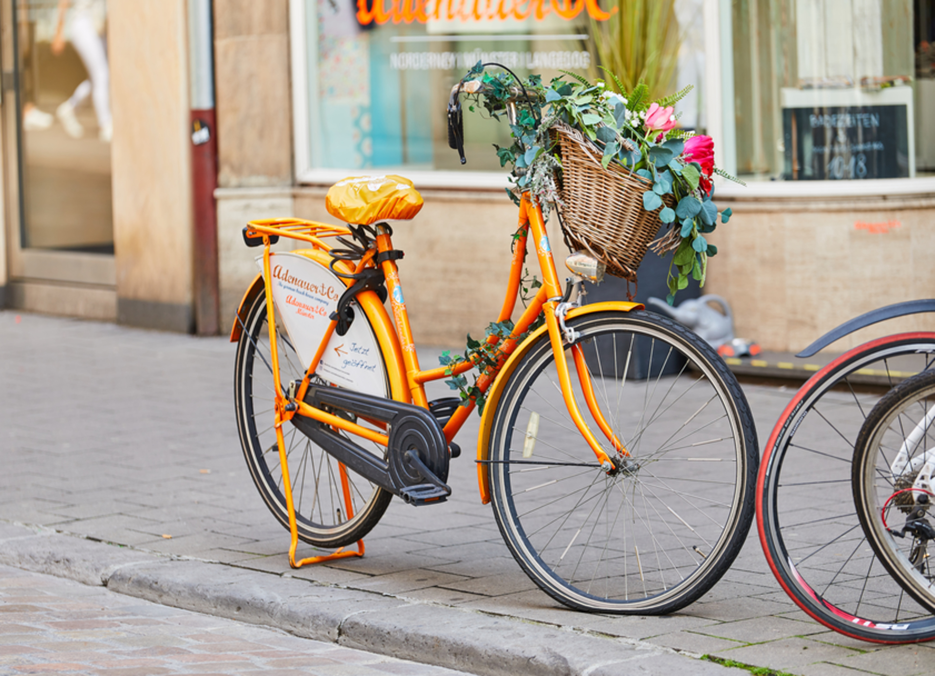 Münster Fahrrad 0620 1