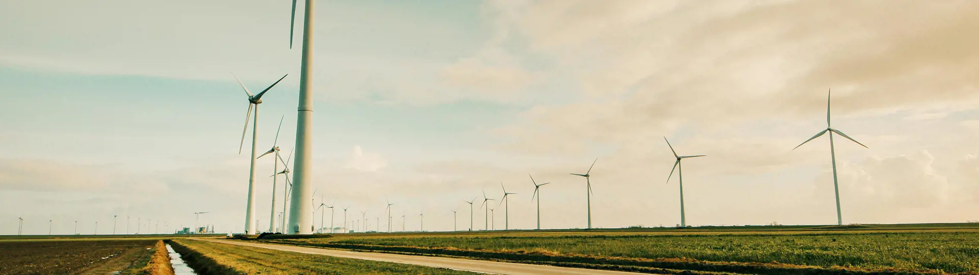 Pexels Shottrotter 695342