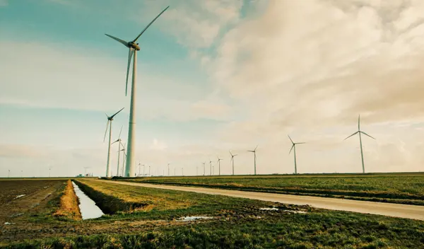 Pexels Shottrotter 695342