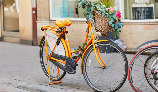 Münster Fahrrad 0620 1 © Münsterland E.V. Philipp Fölting