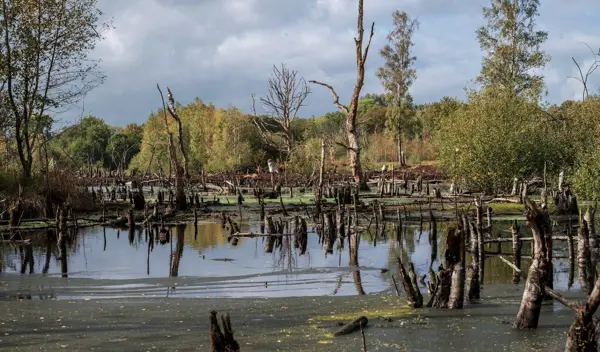 Aamsveen © Milou Sijtsma